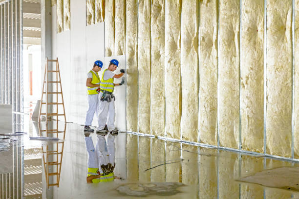 Best Types of Insulation in Garden City Park, NY